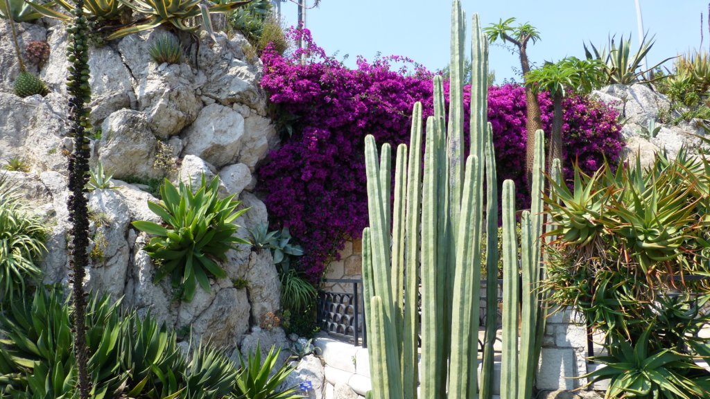 jardinexotiquedemonaco18.jpg