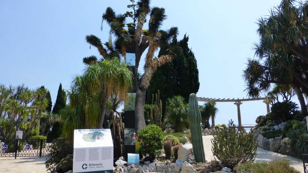 jardinexotiquedemonaco2.jpg