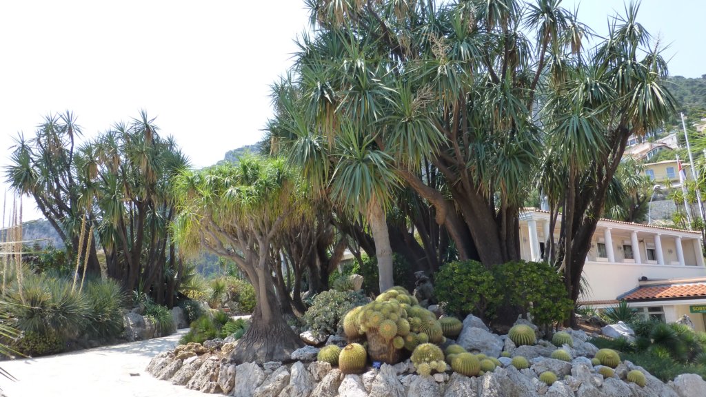 jardinexotiquedemonaco4.jpg