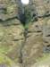 raufeldsgjravine3_small.jpg