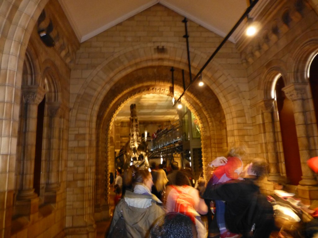 naturalhistorymuseum3.jpg