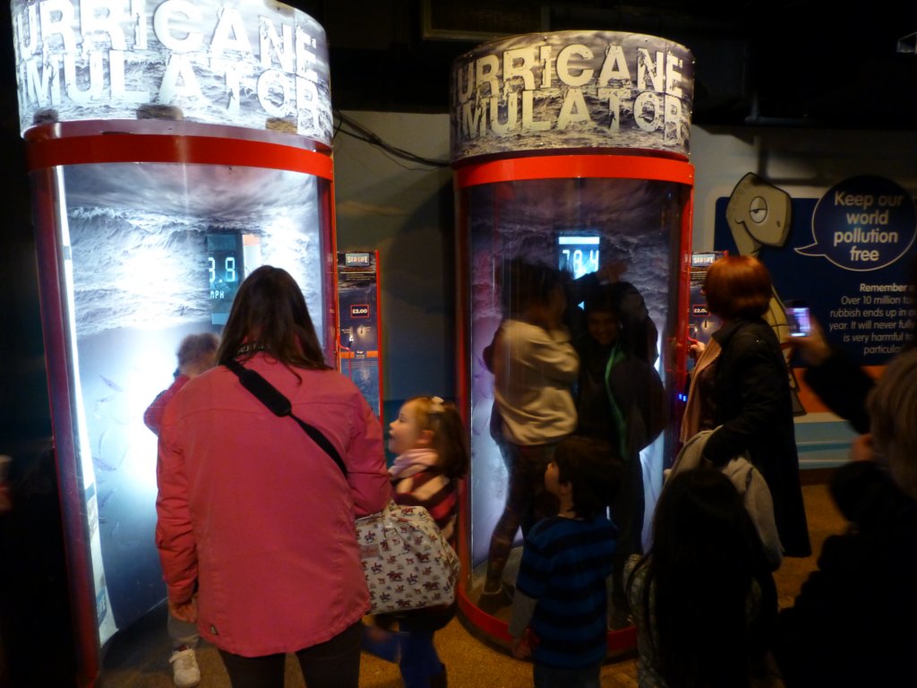 sealifelondonaquarium59.jpg