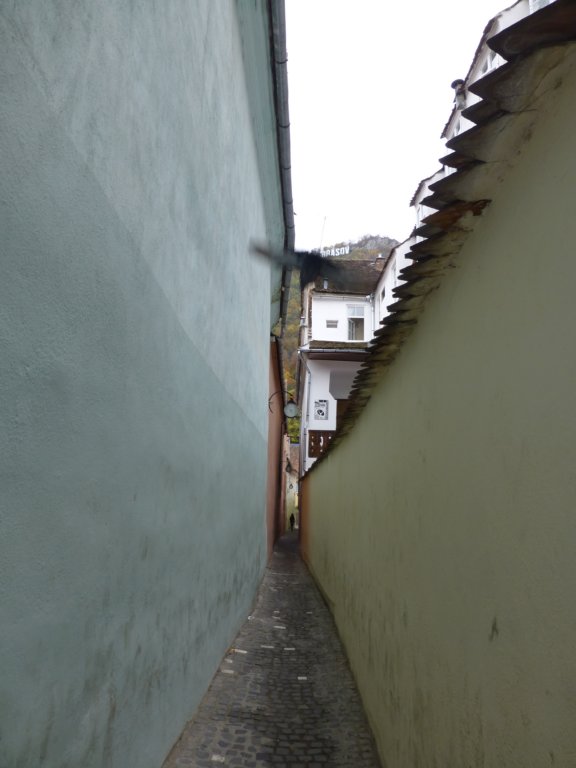 stradasforiitheropestreetbrasov6.jpg